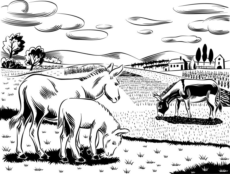 创意矢量现代农场中的驴子插图