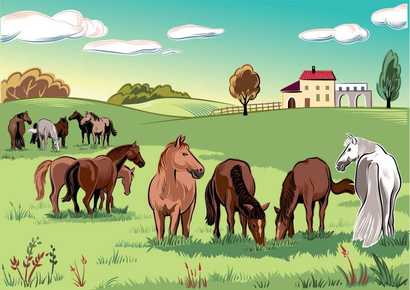 抽象矢量正在吃草的马群插图