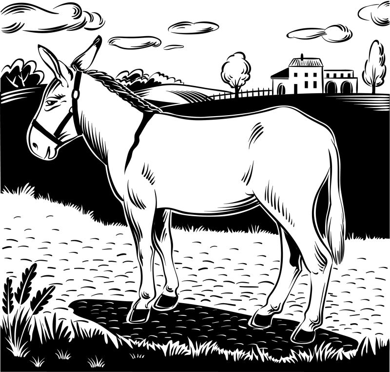 创意矢量站在农场上的驴子插图
