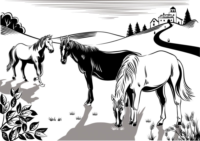 抽象矢量现代草地上吃草的马插图