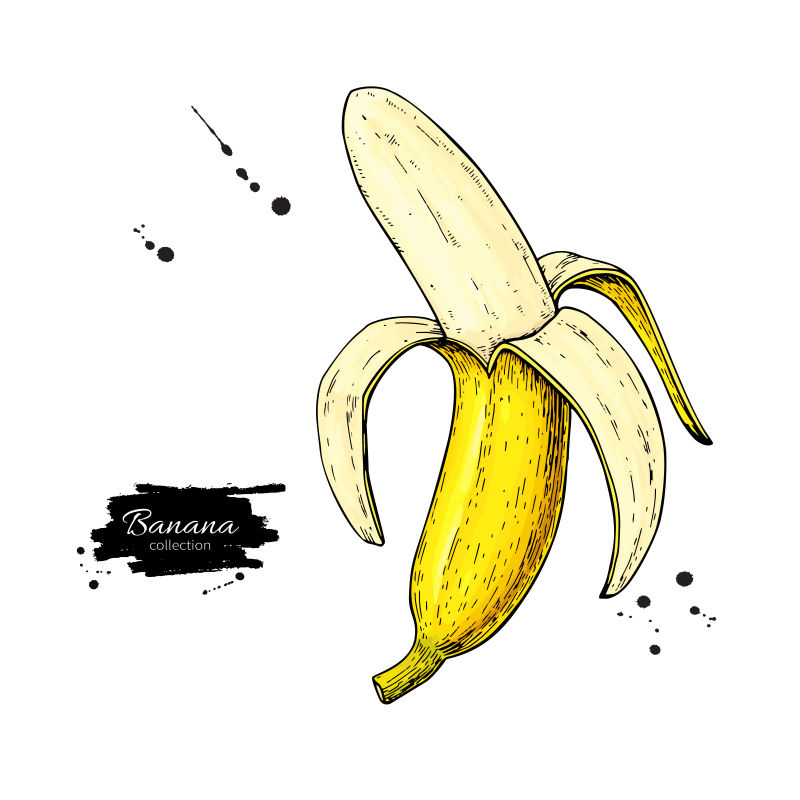 抽象矢量卡通风格的香蕉插图