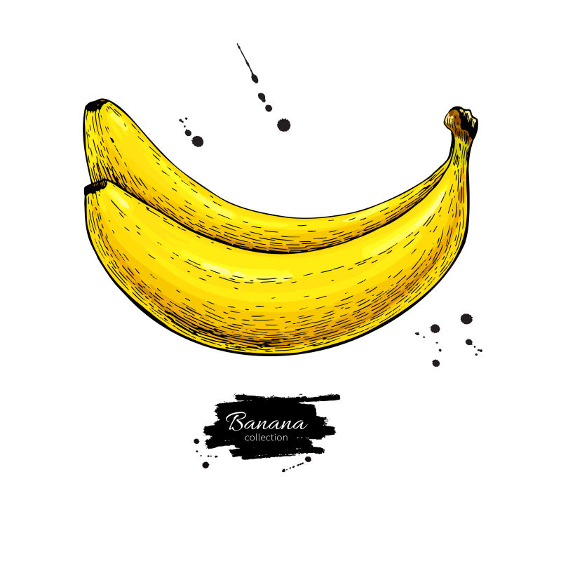 创意矢量手绘艺术香蕉插图