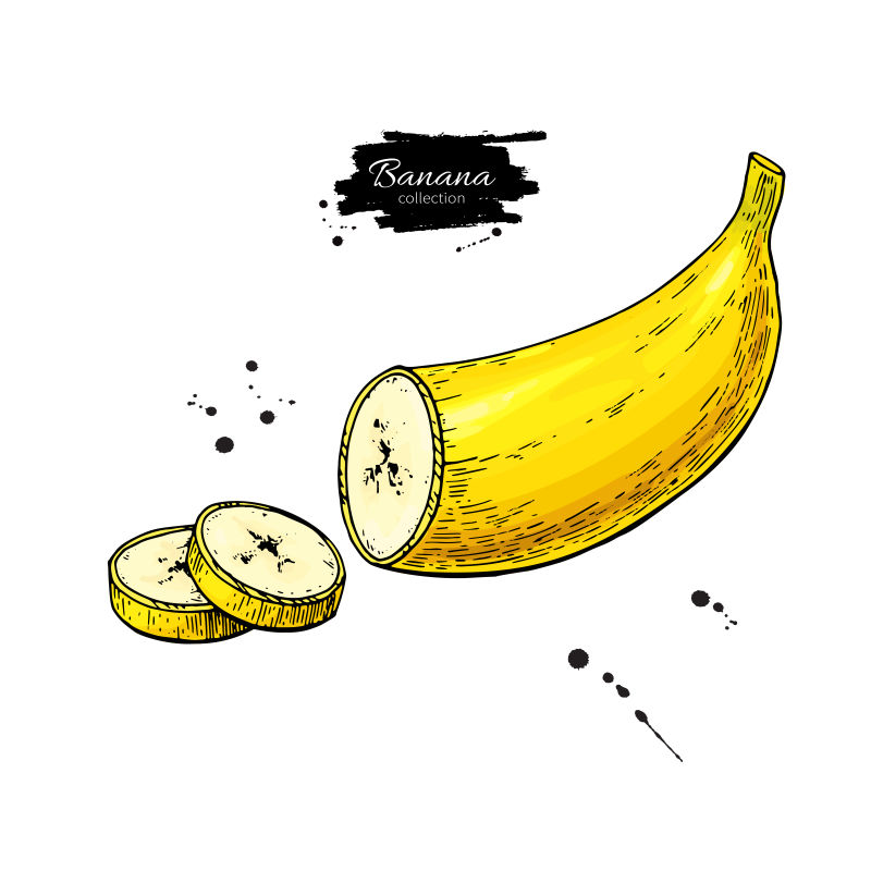 抽象矢量香蕉手绘插图