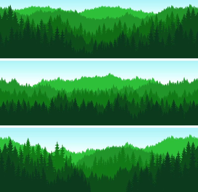 矢量的绿色森林图案横幅