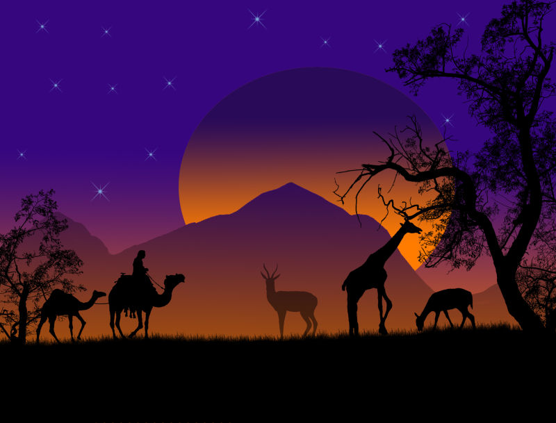矢量日落时分的沙漠景观创意插图