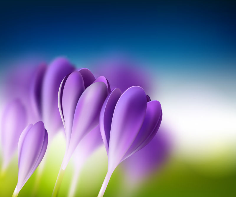 创意矢量紫色花卉现代背景