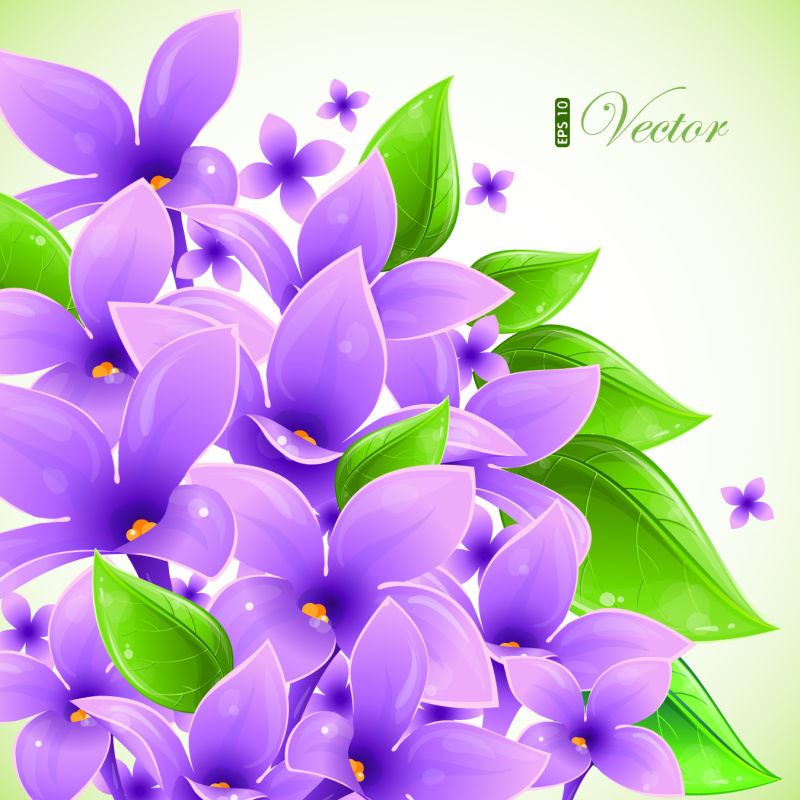创意矢量现代紫色花卉元素的设计背景