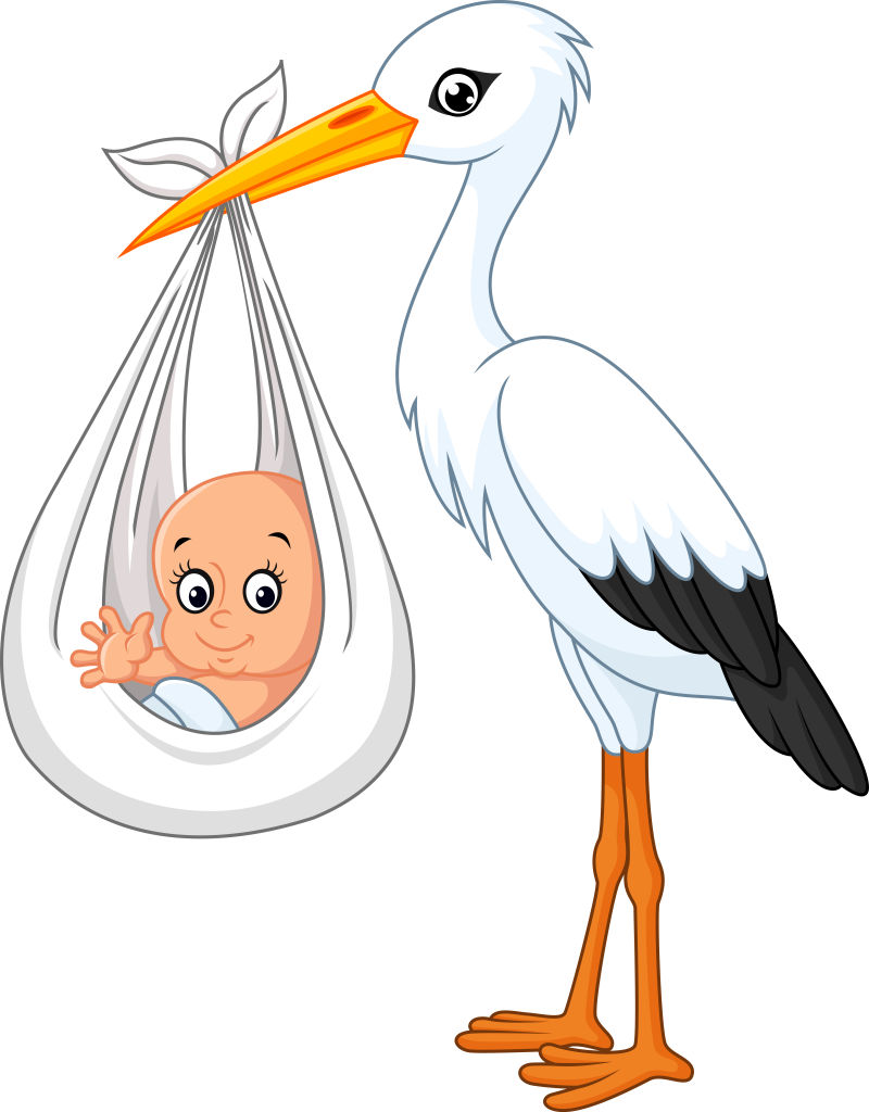 矢量携带婴儿的白鹤