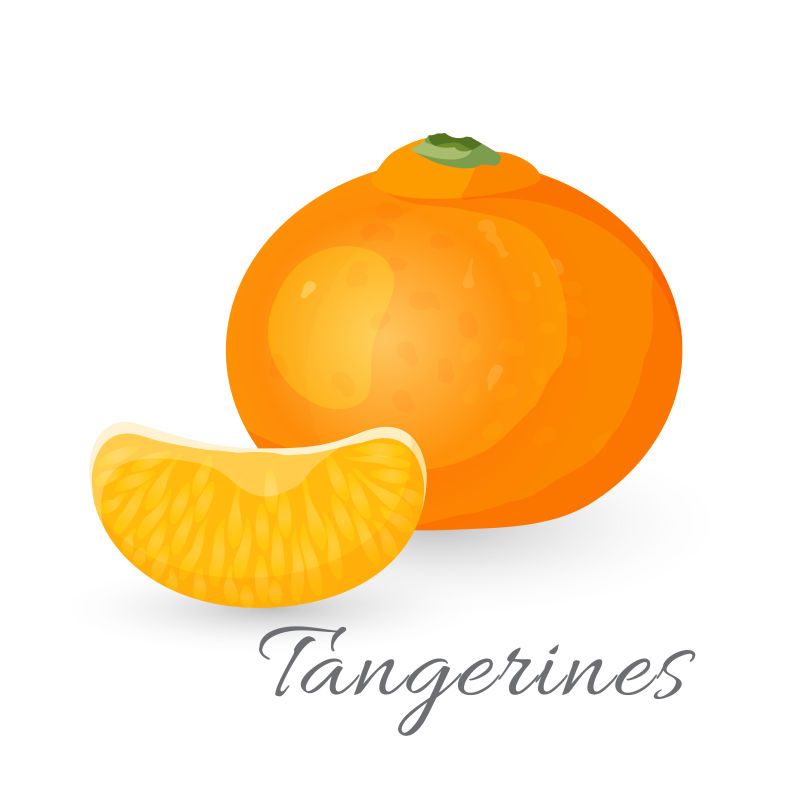 创意矢量新鲜柑橘插图