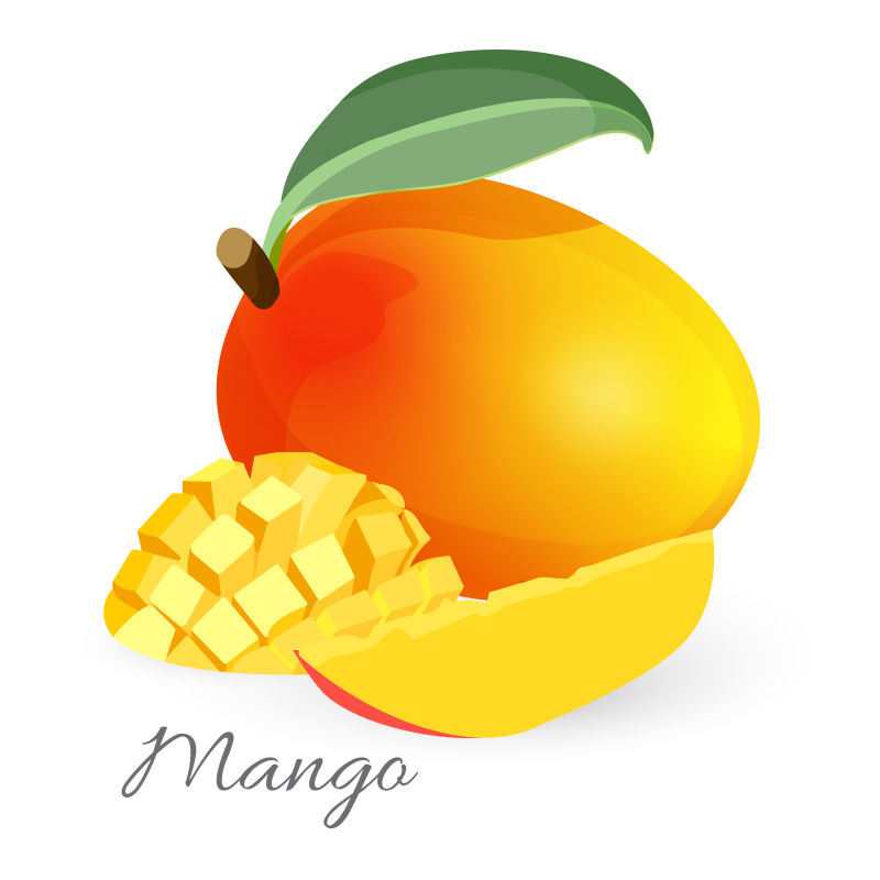 创意矢量热带芒果插图