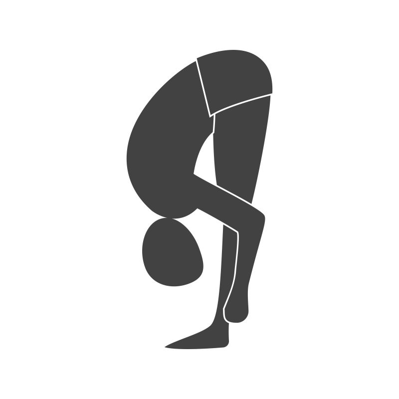 矢量腰部训练的瑜伽姿势