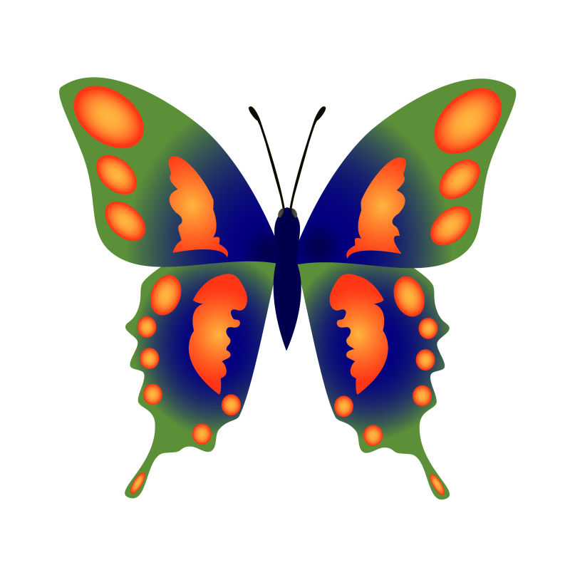 创意矢量彩色元素装饰的蝴蝶插图