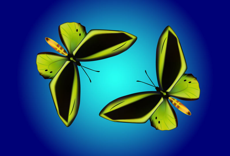 抽象矢量两只蝴蝶插图