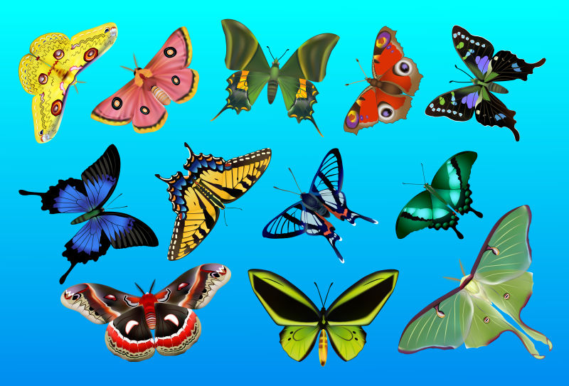 抽象矢量蝴蝶装饰的设计背景