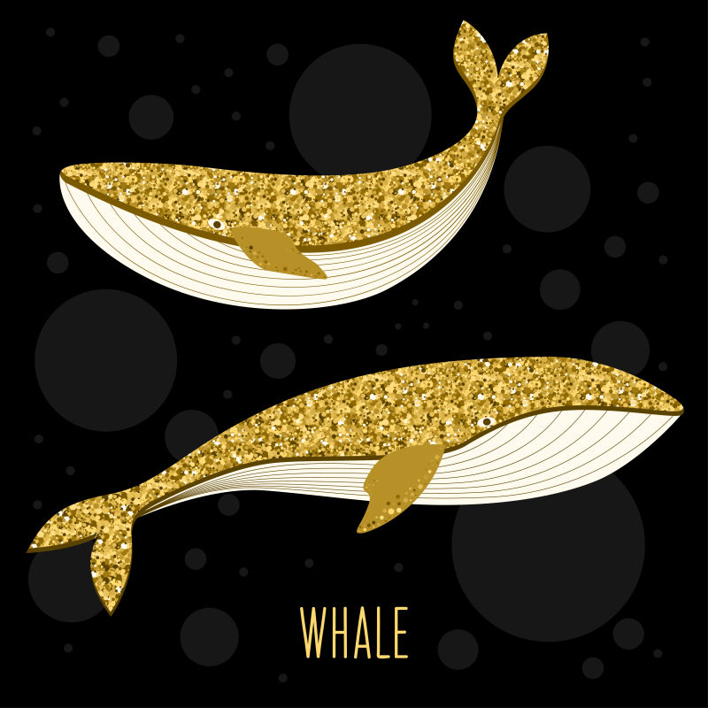 矢量创意金色鲸鱼设计插图