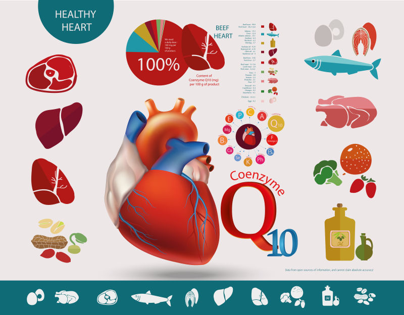 矢量心脏有益的辅酶Q10