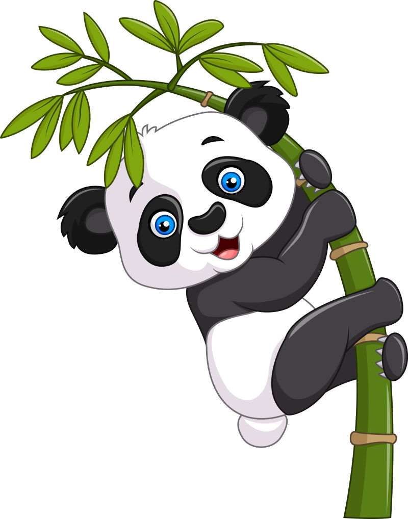 矢量竹子上的熊猫