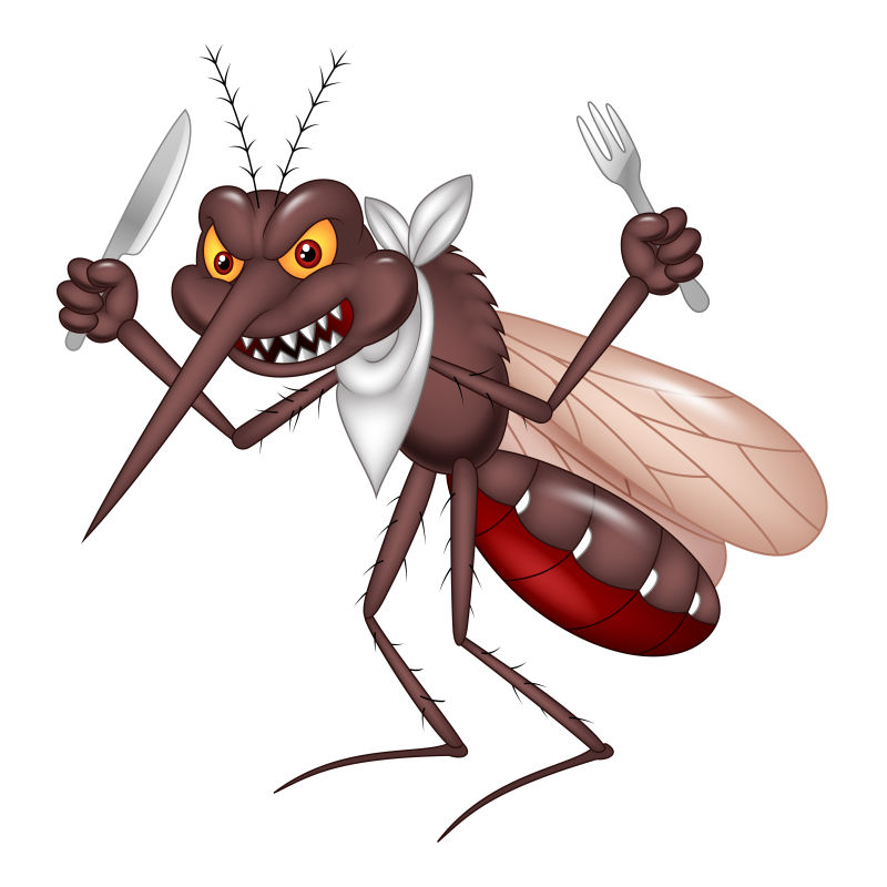 抽象矢量卡通进食的蚊子插图