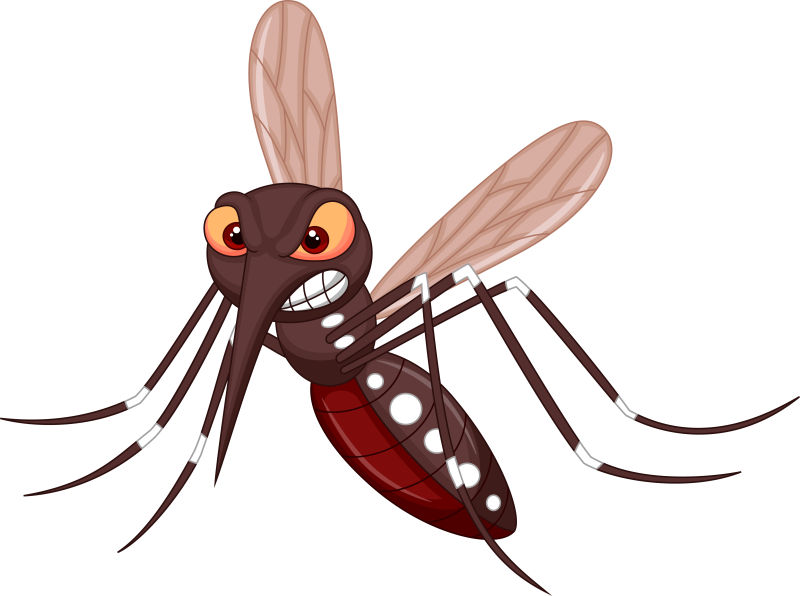 矢量卡通愤怒的蚊子插图