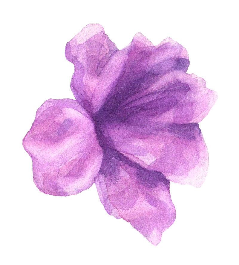 矢量粉紫色水彩花朵设计