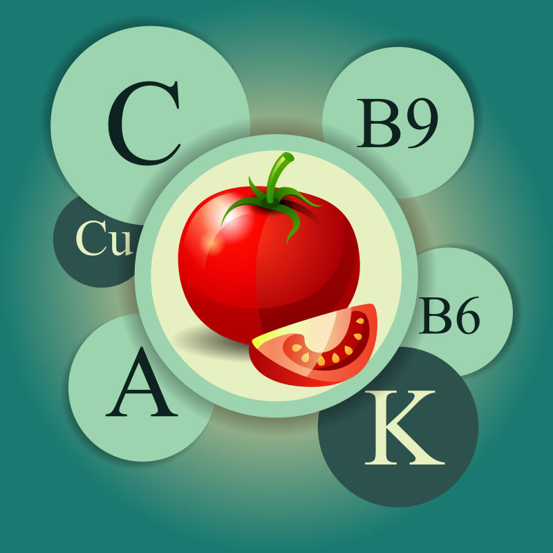 抽象矢量西红柿所含维生素信息插图