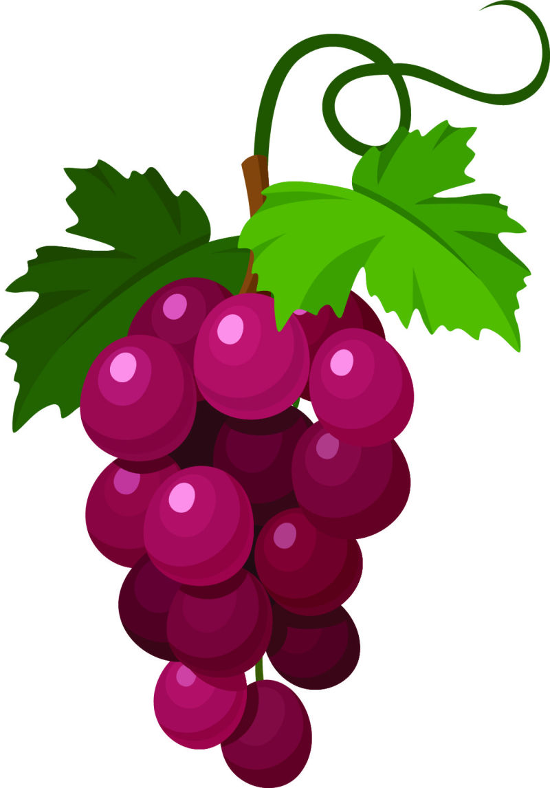 创意矢量紫色葡萄设计插图