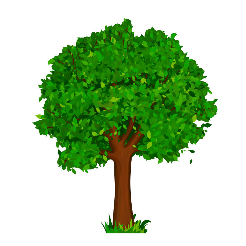 抽象矢量茂密生长的树木设计元素