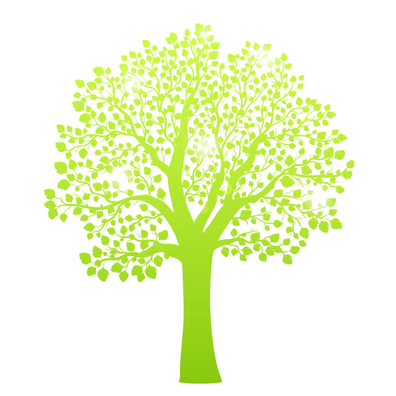 矢量的绿色大树插图设计