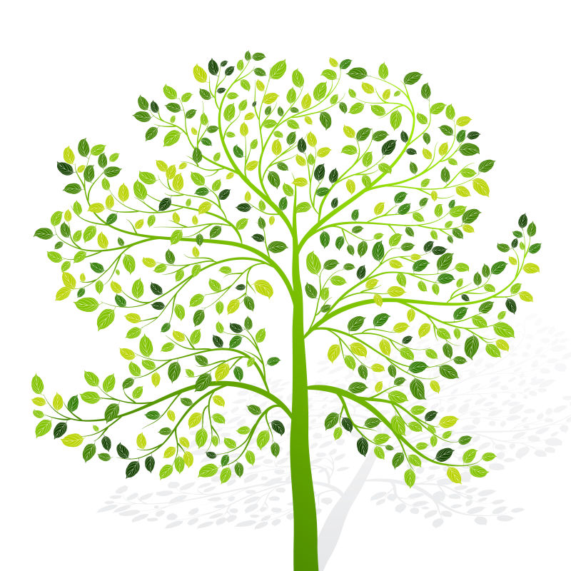 创意矢量绿色树木的设计插图