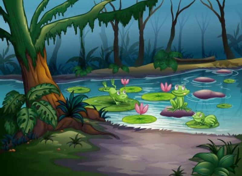 创意矢量卡通森林里的湖泊插图