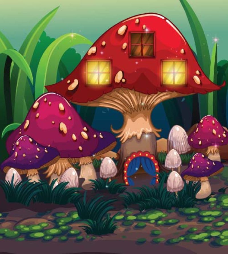 创意矢量卡通森林里的蘑菇插图