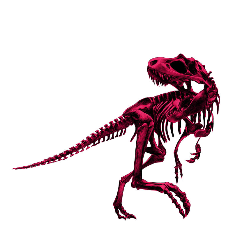 抽象矢量红色霸王龙骨骼插图设计