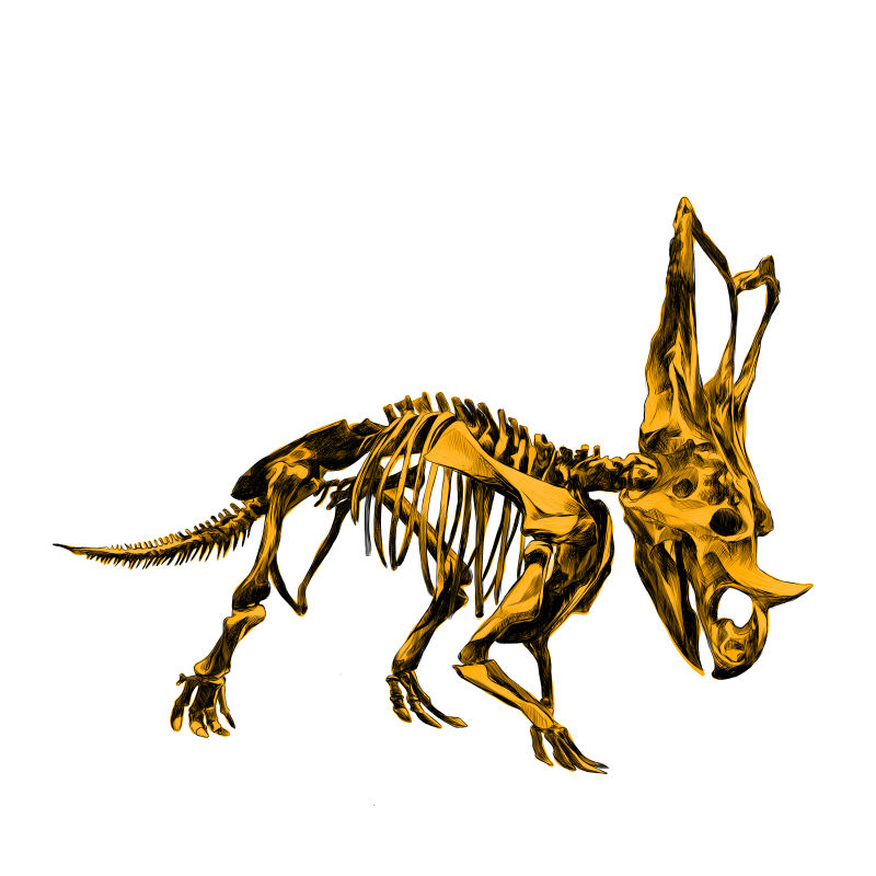抽象矢量金色霸王龙骨骼插图设计