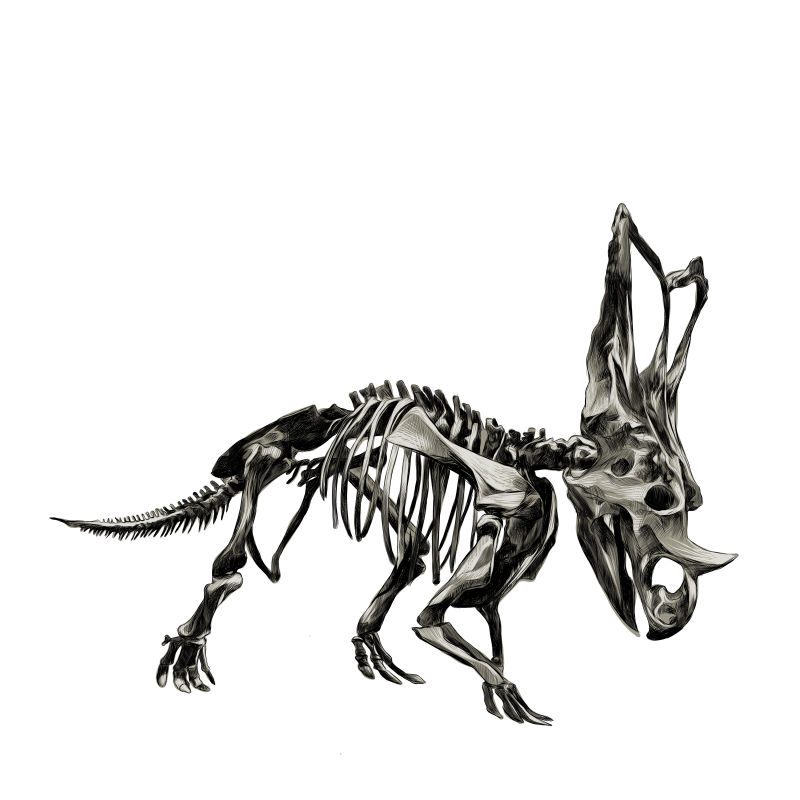 抽象矢量现代霸王龙骨骼插图设计