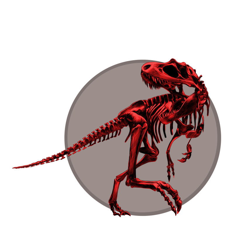 创意矢量红色霸王龙骨骼插图设计