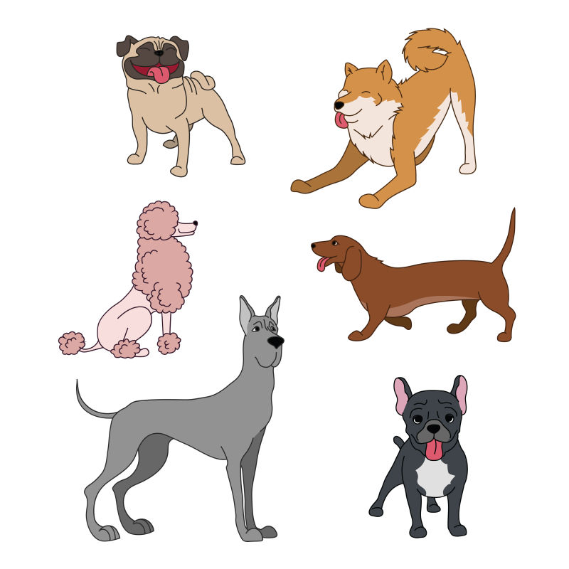 创意矢量卡通不同品种的狗设计插图