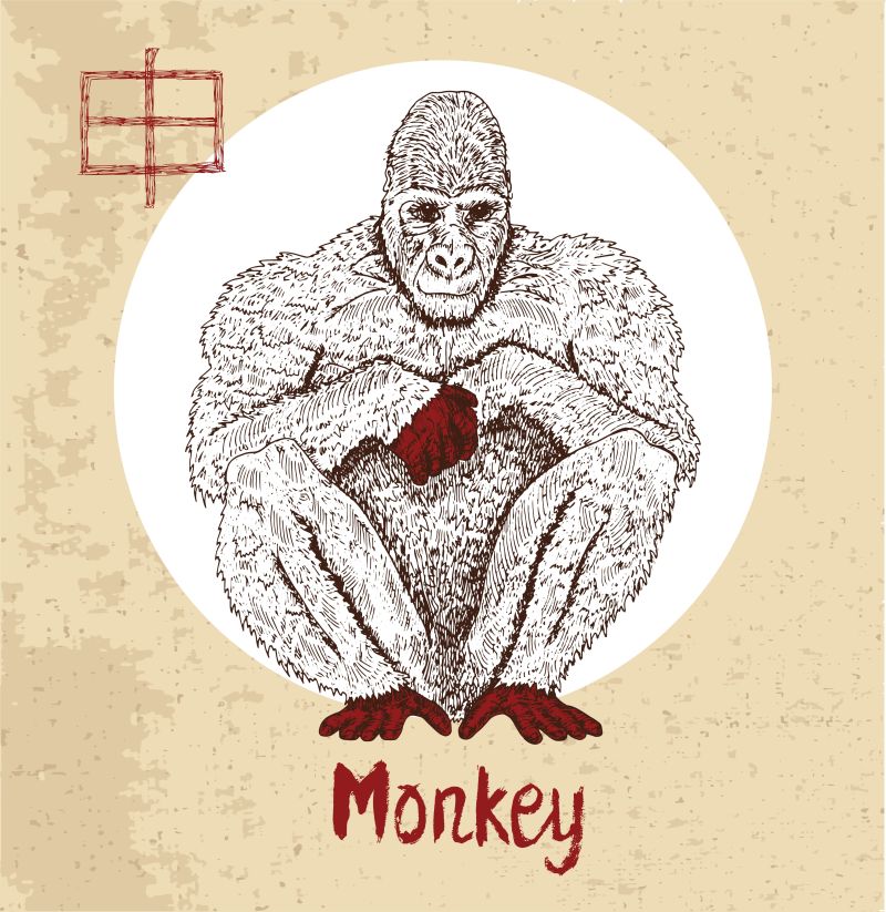 矢量抽象手绘猴子插图设计