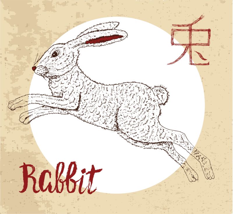 创意矢量手绘兔子插图设计