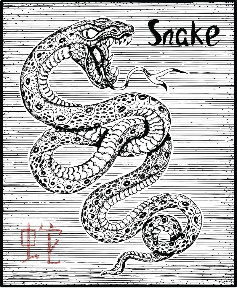 抽象矢量手绘蛇插图设计