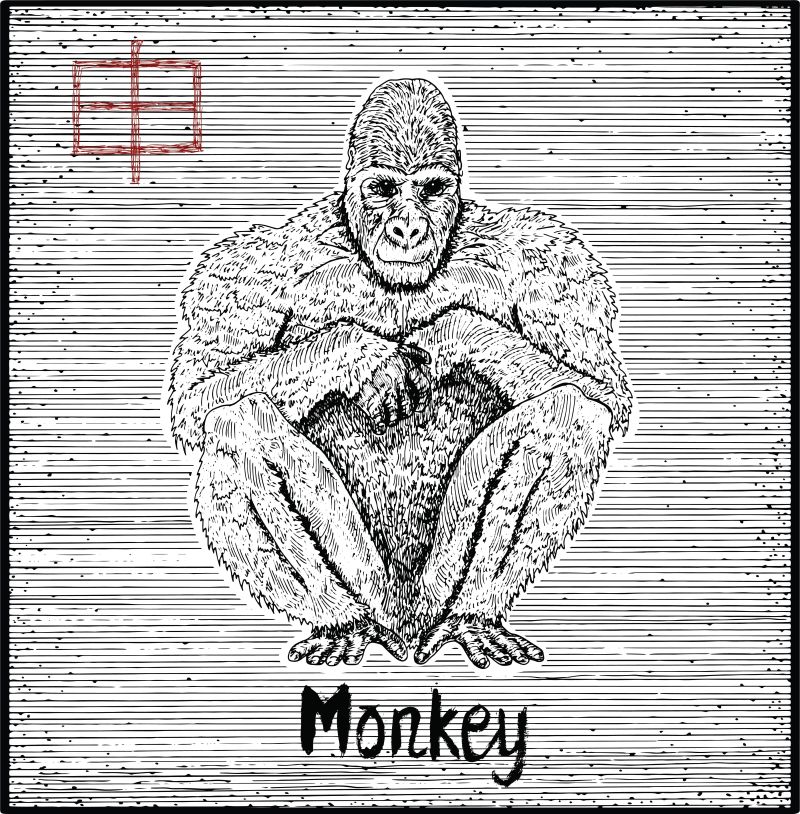抽象矢量手绘猴子插图设计