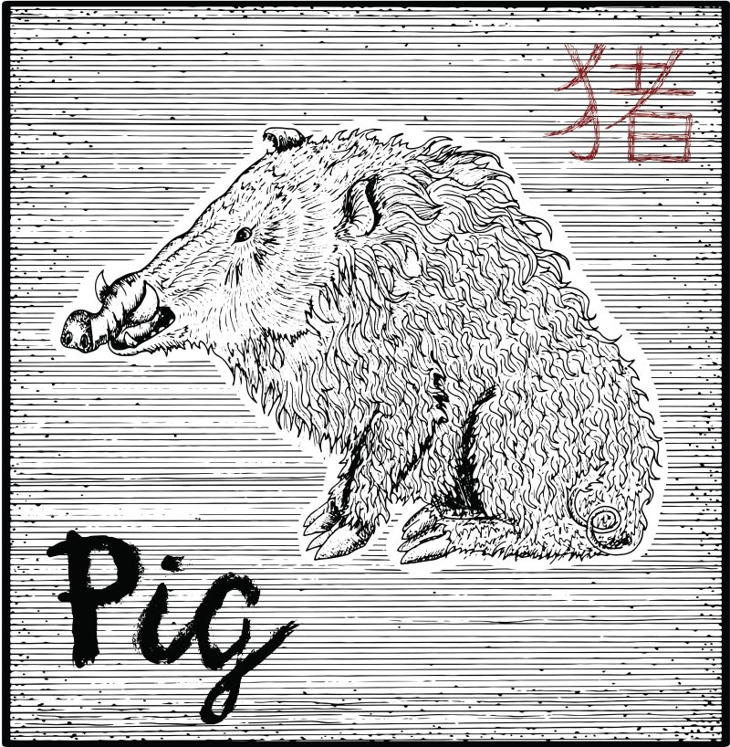 抽象矢量手绘野猪插图设计