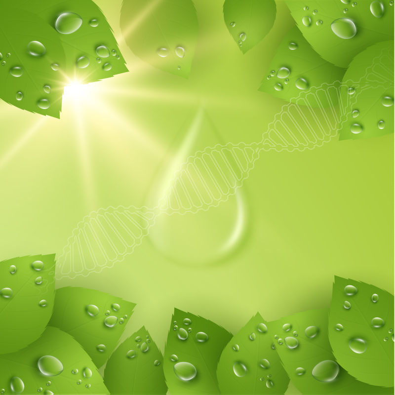 创意矢量绿叶元素的化妆品海报设计