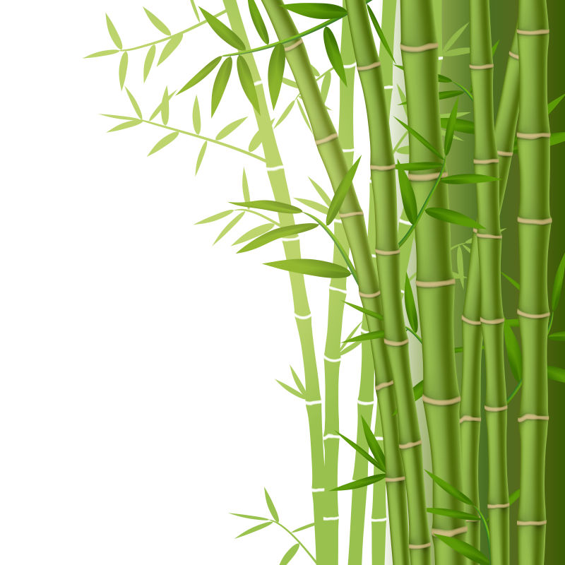 创意矢量现代绿色竹子元素背景