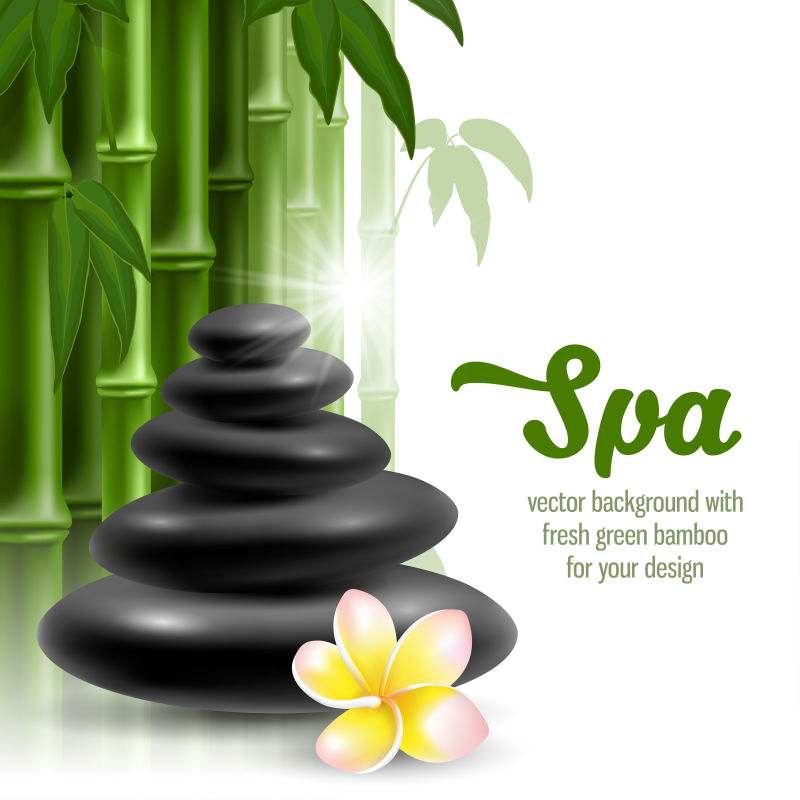创意矢量现代竹子元素spa主题的平面背景设计