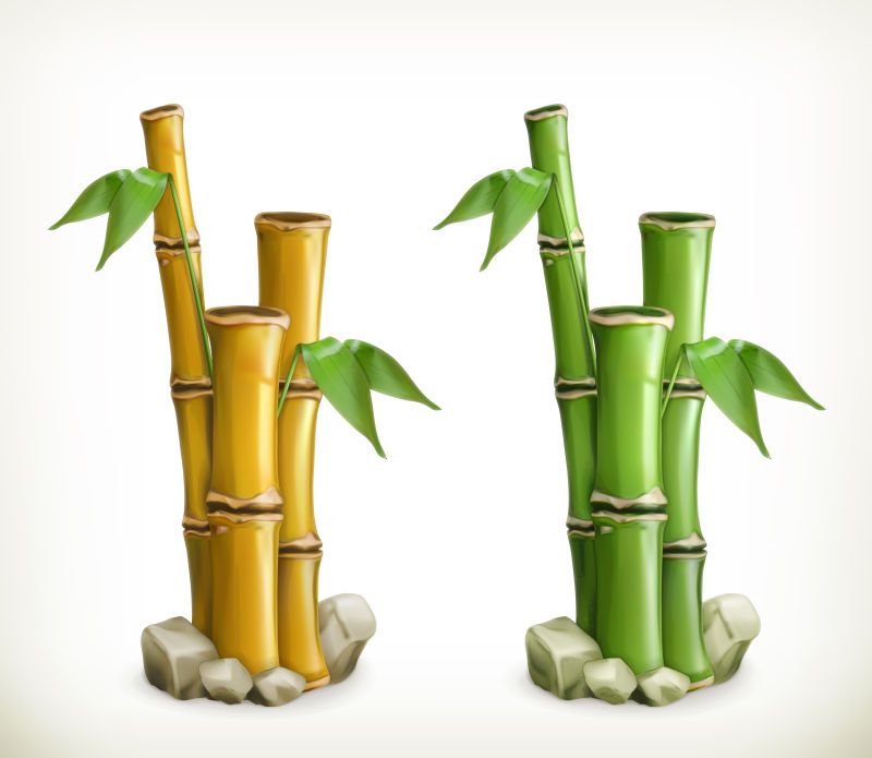 矢量现代竹子元素背景