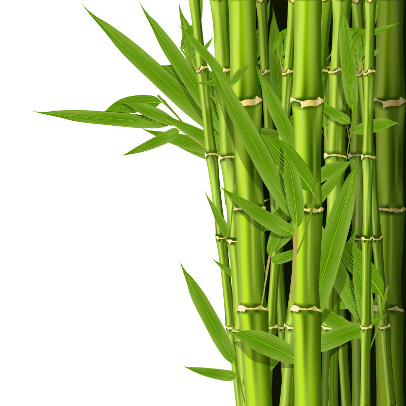 抽象矢量现代竹子元素背景设计