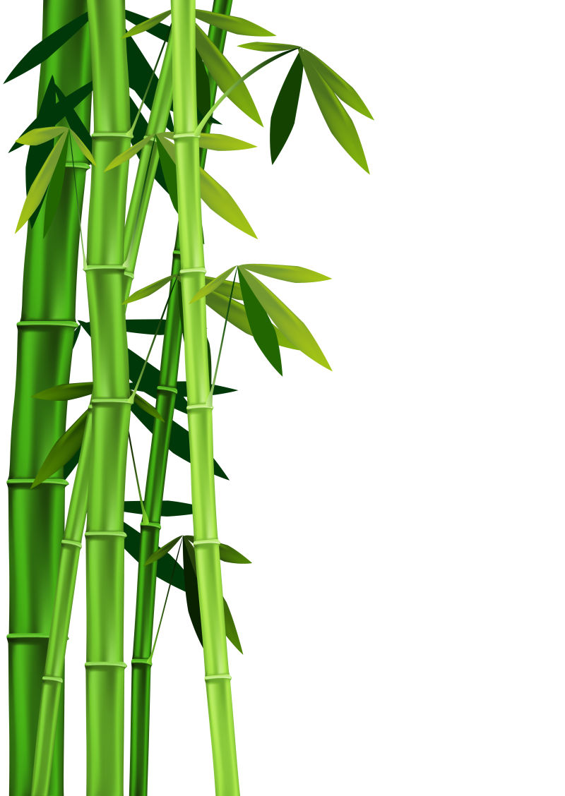 抽象矢量现代绿色竹子元素背景设计