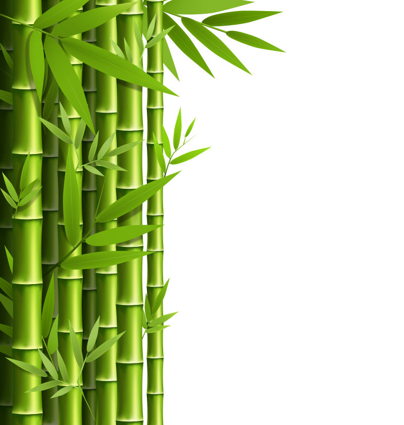 抽象矢量现代绿色竹林插图设计