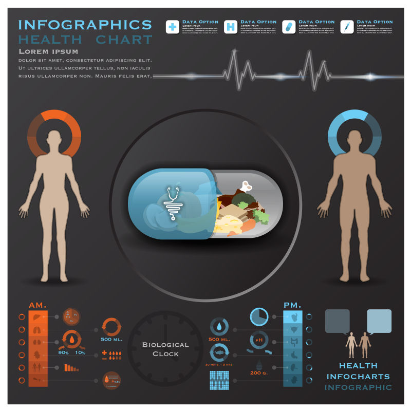 生物钟健康与医学信息图表
