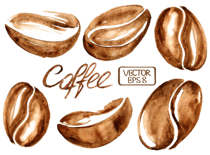 创意矢量现代水彩咖啡豆插图设计
